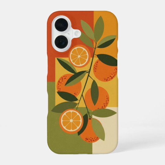 Oude Sinaasappeltak iPhone 16 Hoesje (Achterkant)