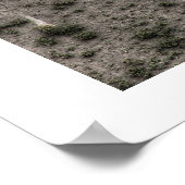 Oude site van Stonehenge & Two Crows Poster (Hoek)