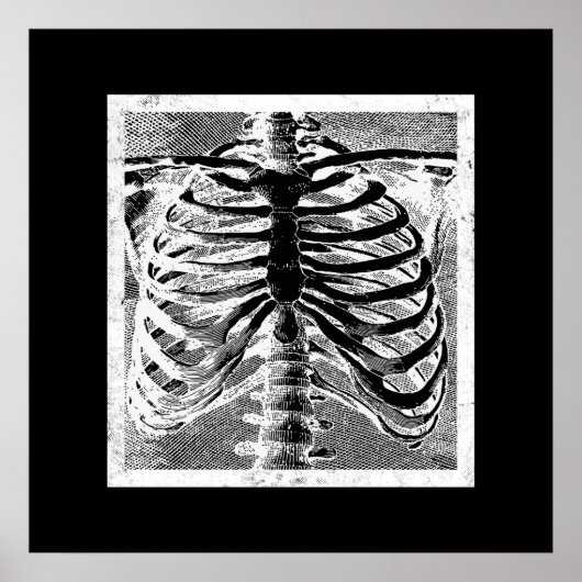 Oude skeletbotten torso lichaam Halloween Poster (Voorkant)