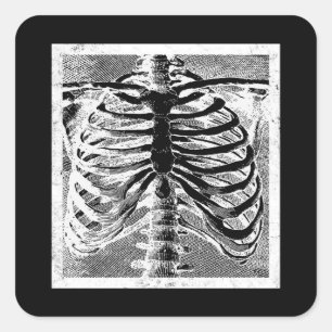 Oude skeletbotten torso lichaam halloween vierkante sticker