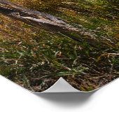 Oude skipiste op Grand Mesa Poster (Hoek)