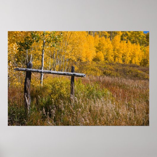 Oude skipiste op Grand Mesa Poster (Voorkant)