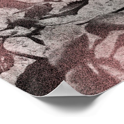 Oude sleutel en Rozen Poster (Hoek)