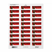 Oude sneeuwvlok kerst rode label adres (Full Sheet)
