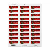 Oude sneeuwvlok kerst rode label adres (Full Sheet)