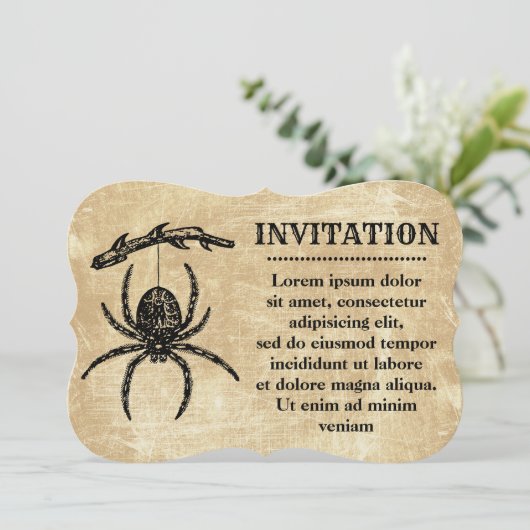 Oude spin hangend aan tak kaart (Staand voorkant)