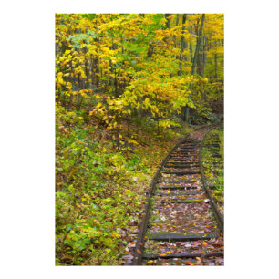 Oude spoorwegen, Blue Ridge Parkway, Virginia Foto Afdruk
