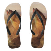 Oude sportvisuitrusting, grote bruine baars visvan teenslippers (Voetbed)