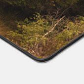 Oude sprusboom die trots is bureaumat (Hoek)