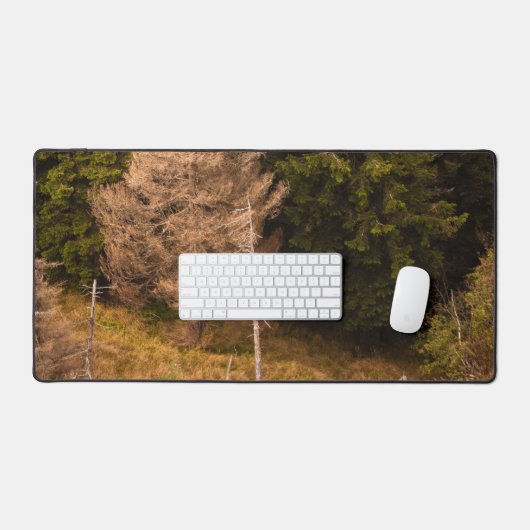 Oude sprusboom die trots is bureaumat (Keyboard & Muis)