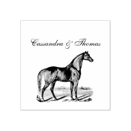 Oude staande paard rubberstempel