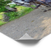 Oude Stad Carriage Driver in Aarhus, Denemarken Poster (Hoek)