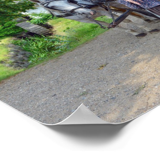 Oude Stad Carriage Driver in Aarhus, Denemarken Poster (Hoek)