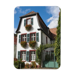 Oude Stad Heidelberg, Duitsland Magneet