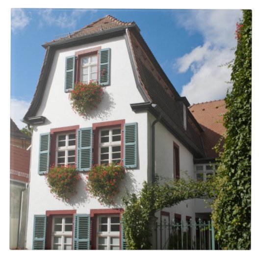 Oude Stad Heidelberg, Duitsland Tegeltje (Voorkant)
