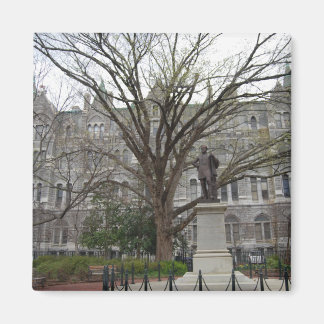 Oude Stadhuis, Richmond, VA in het voorjaar Magneet