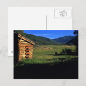 Oude stammen in de buurt van Park City, Utah. (P.R Briefkaart (Voorkant / Achterkant)