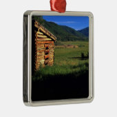 Oude stammen in de buurt van Park City, Utah. (P.R Metalen Ornament (Rechts)