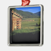 Oude stammen in de buurt van Park City, Utah. (P.R Metalen Ornament (Links)