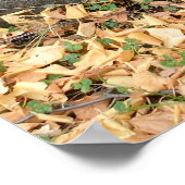 Oude steenkruisen (khachkars) in Armenië Poster (Hoek)