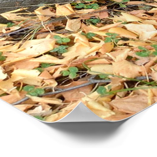 Oude steenkruisen (khachkars) in Armenië Poster (Hoek)