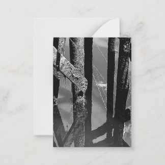 Oude Steiger Pier Barnacle Balken Palen Briefkaart