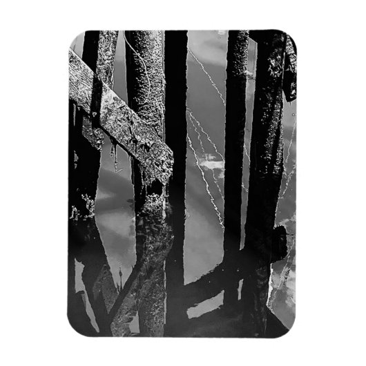 Oude Steiger Pier Barnacle Balken Palen Foto Magneet (Verticaal)