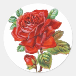 Oude sticker Rode Roos