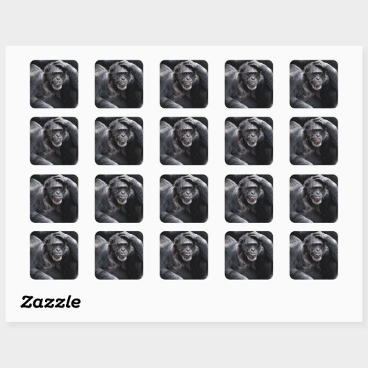 Oude stickers van Chimpansee (Vel)