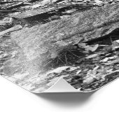 Oude Stone Stenen Foto Afdruk (Hoek)