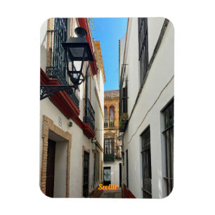 Oude straat in Sevilla, Spanje, reizen Magneet