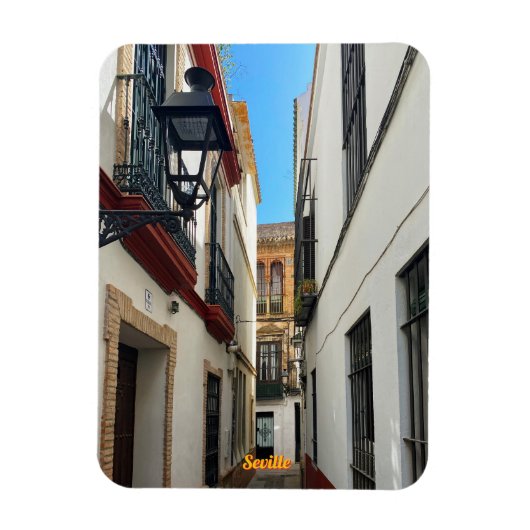 Oude straat in Sevilla, Spanje, reizen Magneet (Verticaal)