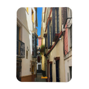 Oude straat in Sevilla, Spanje, reizen Magneet