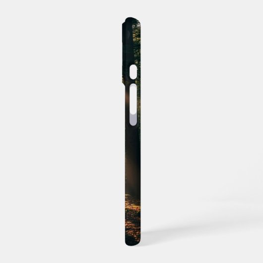Oude Sunbeam Bos iPhone 16 Hoesje (Linkerkant)
