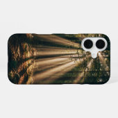 Oude Sunbeam Bos iPhone 16 Hoesje (Achterkant horizontaal)