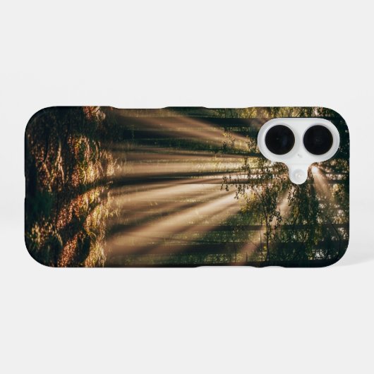 Oude Sunbeam Bos iPhone 16 Hoesje (Achterkant horizontaal)