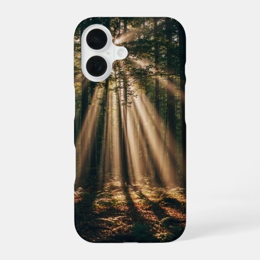 Oude Sunbeam Bos iPhone 16 Hoesje (Achterkant)