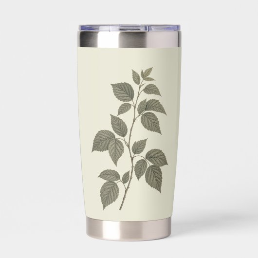 Oude tak van groene framboos geïsoleerde drinkbeker (Voorkant)
