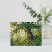Oude taxus met rode bosbessen briefkaart (Staand voorkant)