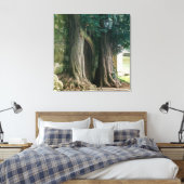 Oude taxusbomen canvas afdruk (Insitu (Slaapkamer))