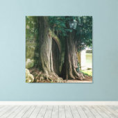 Oude taxusbomen canvas afdruk (Insitu (Houten vloer))