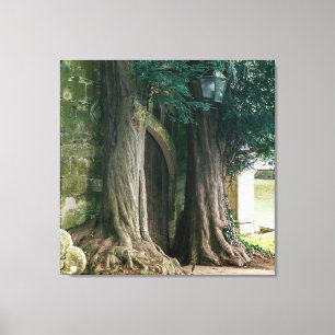 Oude taxusbomen canvas afdruk