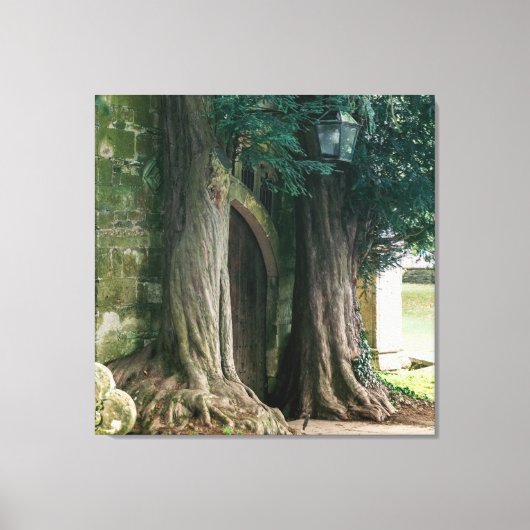 Oude taxusbomen canvas afdruk (Voorkant)