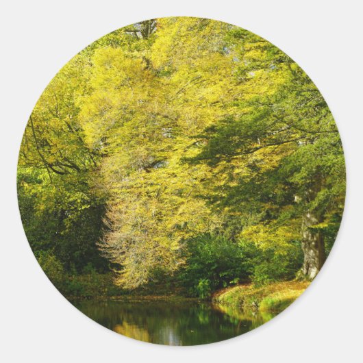 Oude Taxusbomen Klassieke Ronde Sticker (Voorkant)