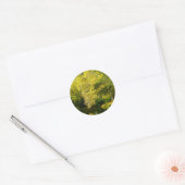 Oude Taxusbomen Klassieke Ronde Sticker (Envelop)