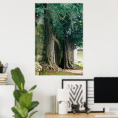 Oude taxusbomen poster (Thuiskantoor)
