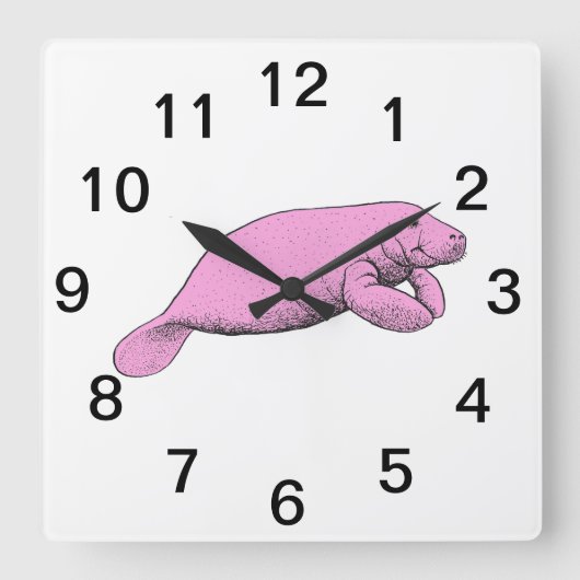 Oude tekening van een lamantijn Roze Vierkante Klok (Voorkant)