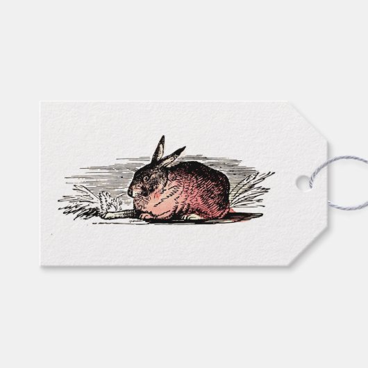 Oude tekening van rode konijn cadeaulabel (Voorkant (Horizontaal))