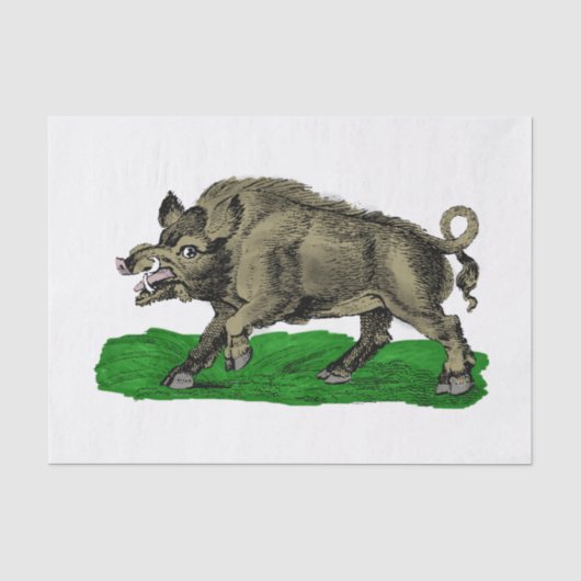 Oude tekening van wild zwijn zwart-wit #3C Tissuepapier (Voorkant)