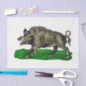 Oude tekening van wild zwijn zwart-wit #3C Tissuepapier (Craft)